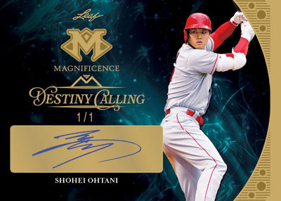 2023 Leaf Magnificence Hobby Box