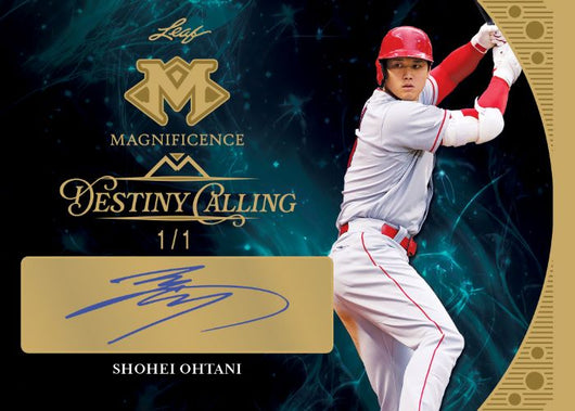 2023 Leaf Magnificence Hobby Box