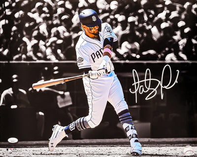 Fernando Tatis Jr. Autographed 16x20 Photo San Diego Padres Spotlight JSA Stock #201955