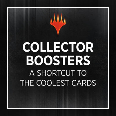Magic the Gathering: The Lord of The Rings: Tales of Middle-Earth Special Edition Collector Booster Packs & Boxes