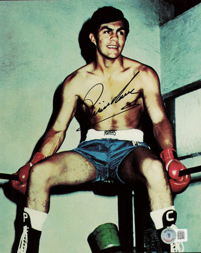 Pipino Cuevas Autographed 8x10 Photo Beckett BAS QR #BH29219