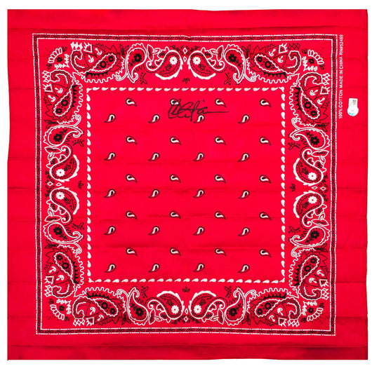 Charlie Sheen Autographed 19x21 Bandana Major League Ricky 'Wild Thing' Vaughn Beckett BAS Witness