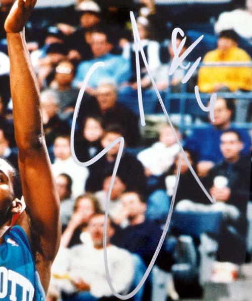 Eddie Jones Autographed 16x20 Photo Charlotte Hornets PSA/DNA #T14851