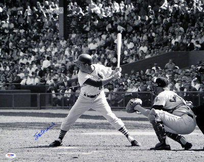 Stan Musial Autographed 16x20 Photo St. Louis Cardinals PSA/DNA Stock #18611